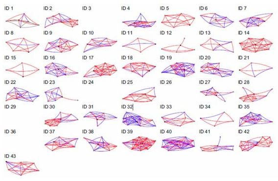 Fig. 2. Redes personales de las personas con síndrome de Down 