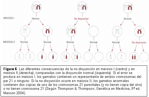 En el síndrome de Down existe una aneuploidía