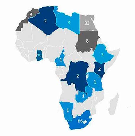 El síndrome de Down en África: Problemas, oportunidades y directrices para el futuro.